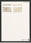 Diatomeae indet. (de-Toni-Nr.: Species 2969) Zeichnungen Sammlung Grunow (NHMW-BOT-W0374561)